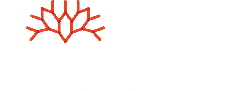 Synoro Investimentos